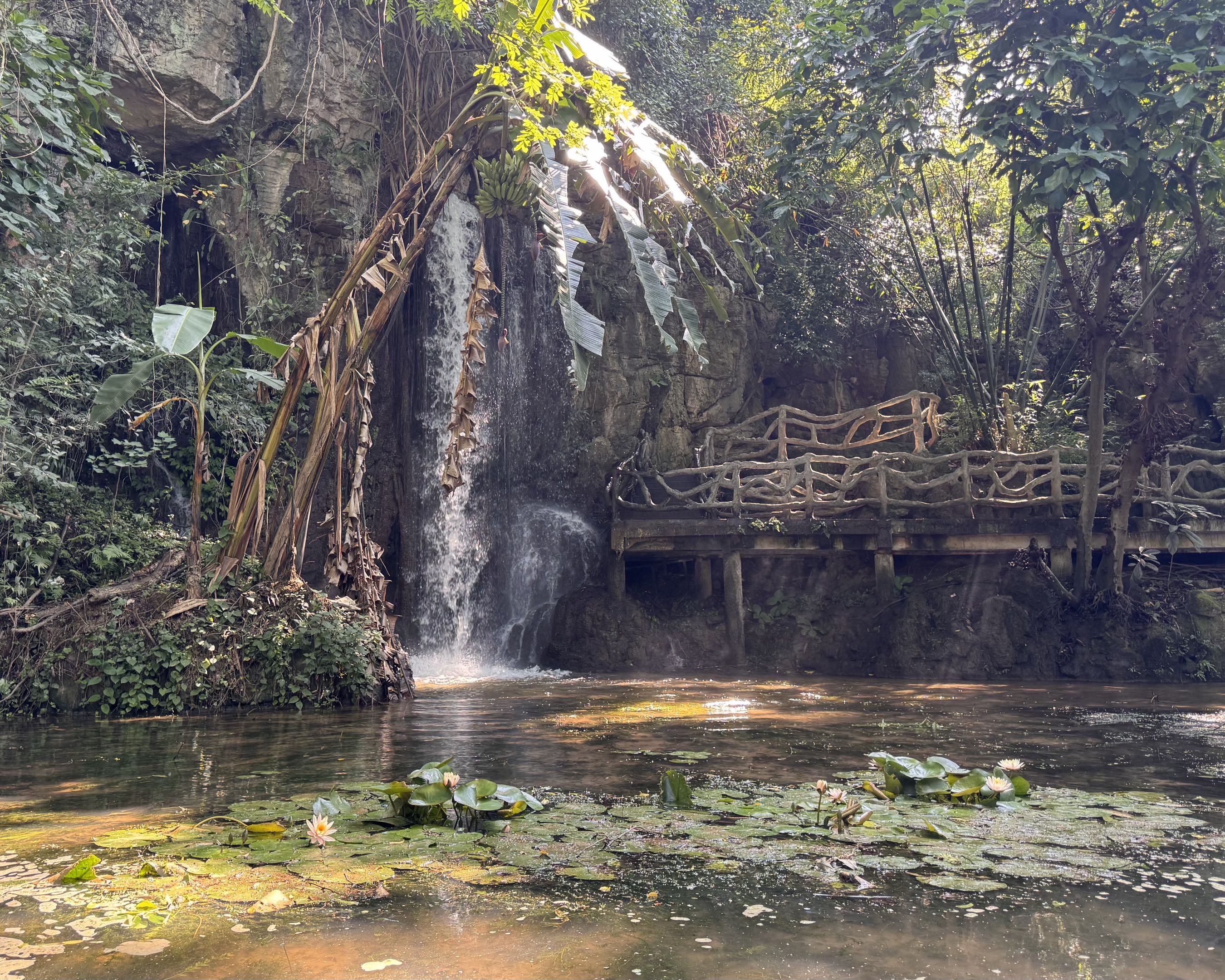 A small waterfall surrounded by dense greenery and lily pads
